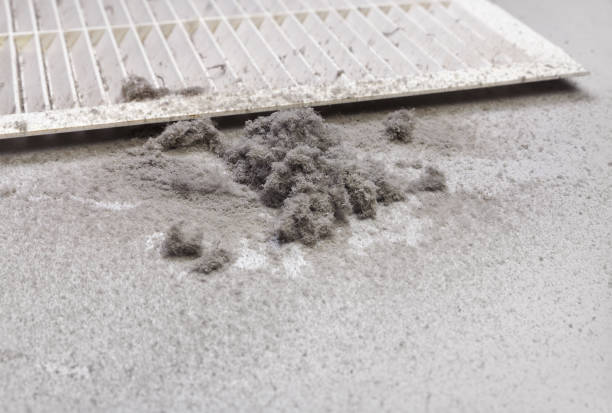 Best Air Duct Cleaning Near Me  in Savage, MN