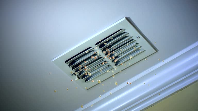 Best Affordable Air Duct Cleaning  in Savage, MN