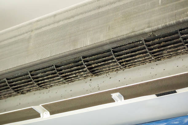 Best HVAC System Cleaning  in Savage, MN